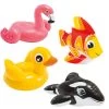 Inflatable Watertoys Intex