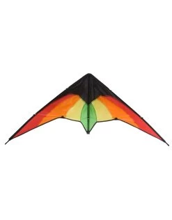 Rhombus Vlieger Fox Rainbow